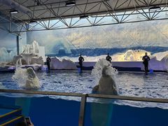 -秦皇岛乐岛海洋王国