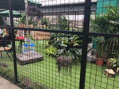 -凯德广场(埃德蒙顿路店)
