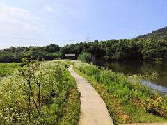 -牛首山文化旅游区