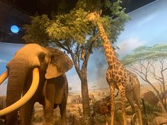 -陕西自然博物馆