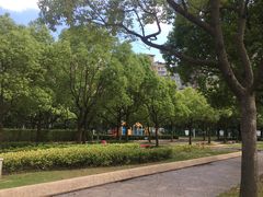 -新江湾城公园