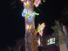 -长春市南湖公园