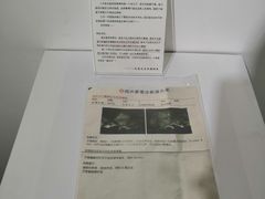 -成都失恋馆