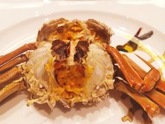 -紫圆 · 雅宴高级餐厅(杭州东站店)