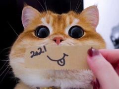 -新天地活力PARK