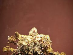 -贵州省博物馆(新馆)