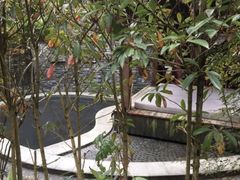 -花水湾第一村温泉大酒店