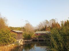 -溱湖国家湿地公园