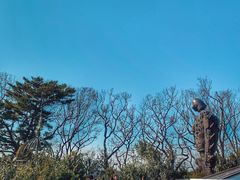 -三鹰之森吉卜力美术馆