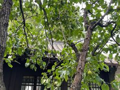 -国家植物园南园