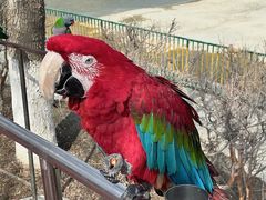 -水上乐园·欢乐世界