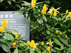 -北京植物园-展览温室