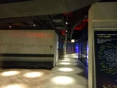-威尔仕健身(丁香国际店)