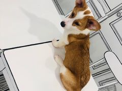 -白夜2D咖啡馆