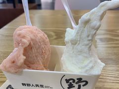 -野人先生Gelato(上海长宁龙之梦店)
