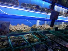 -船梆煮•蒸汽海鲜·炉火烤肉(五四广场店)