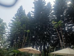 -碧水湾温泉