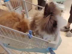 -怪兽屋·羊驼·猫咖·狗咖(俊华广场店)