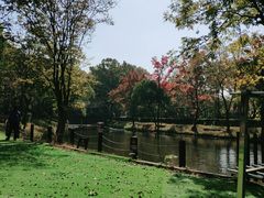 -WeLope紫金山探险公园