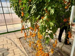 -大钟寺古钟博物馆