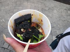 -黑色经典臭豆腐·湖南特产(潇湘文化店)