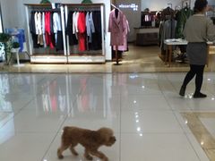 -中商广场(黄石店)