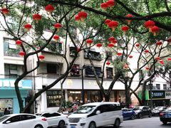 -小豆海棠(人民南路店)