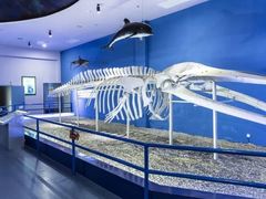 -福州罗源湾海洋世界旅游区