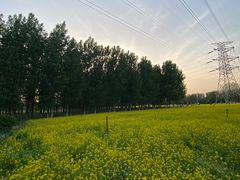 -长白岛森林公园