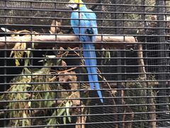 -费瑟代尔野生动物园