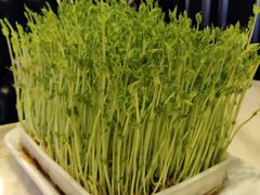 -美姿水荟美食水疗