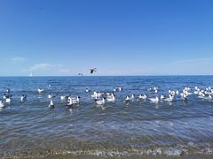 -青海湖国家重点风景名胜区