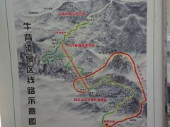 -牛背梁国家森林公园