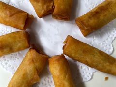 炸春卷-见山书院