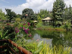 -成飞公园