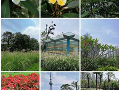 -文华公园(禅城区)