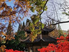 -习家池