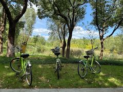 -昆山城市生态森林公园