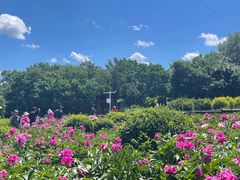 -黑龙江省森林植物园