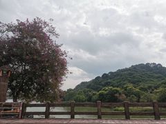 -风云岭森林公园