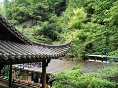 -藏龙百瀑风景区