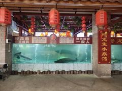 -年辉渔村·非遗传承餐厅(新丰江店)