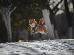 -钟山体育运动公园