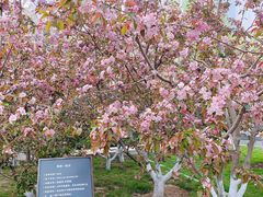 -元大都城垣遗址公园