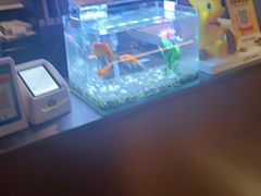 -华夏良子·足道SPA艾灸(王府井店)