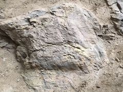 -中国第四纪冰川遗迹陈列馆