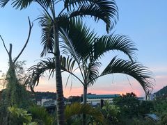 -自然餐厅(Phuket)