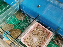 -拉威海鲜市场