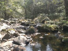 -井冈山风景名胜区