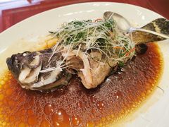 皖鱼-顺德美的万豪酒店-万豪中餐厅